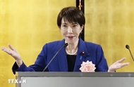 Vietnam, Japan to accompany, promote cohesion in new era of development